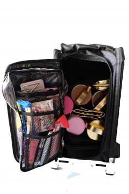 CASE FOR PROFESSIONAL  large