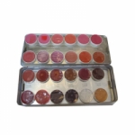 Lip Rogue Palette 24 Colors