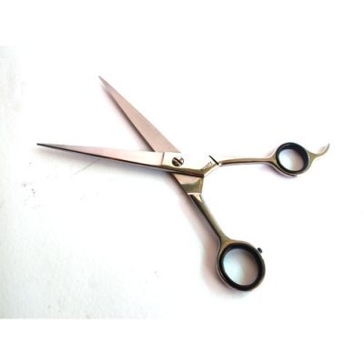 gunting pointz  large